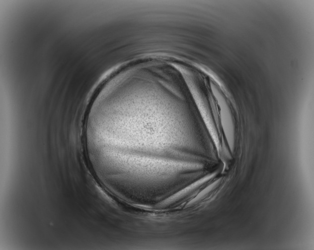 X0000086290799200704201922