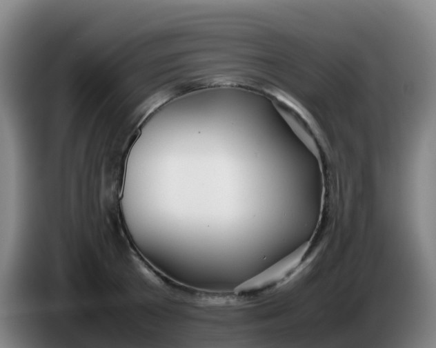 X0000086290801200704201922