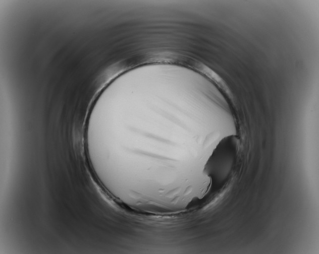 X0000086290802200704201922