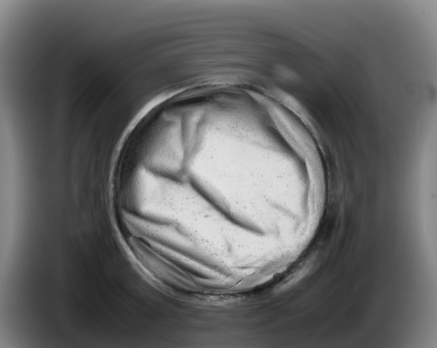 X0000086290803200704201922