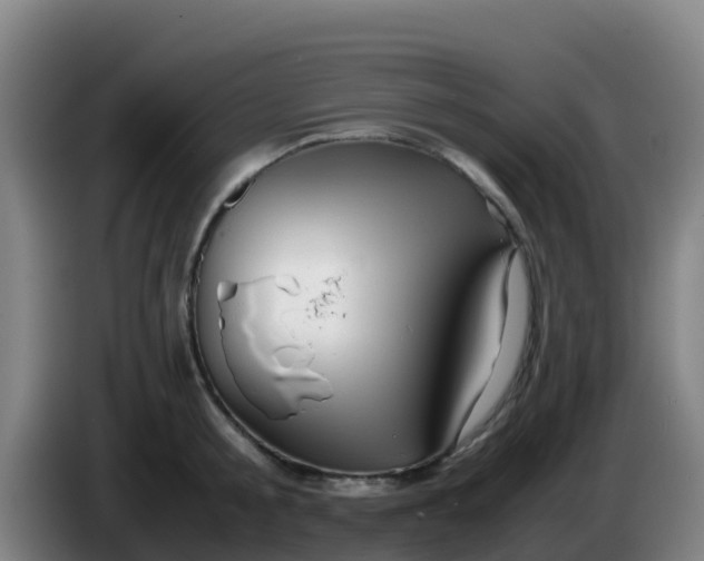 X0000086290805200704201922