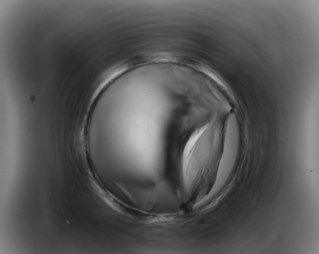 X0000086290806200704201922
