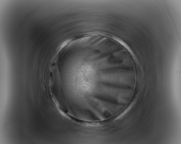 X0000086290809200704201922