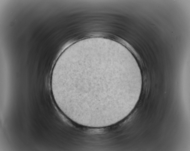 X0000086290810200704201922