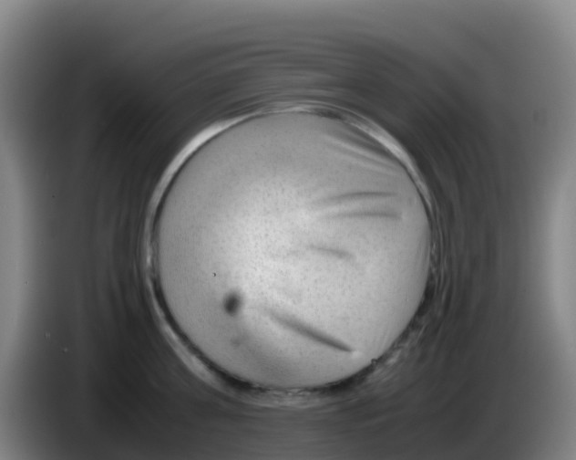 X0000086290811200704201922