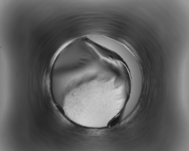 X0000086290812200704201922