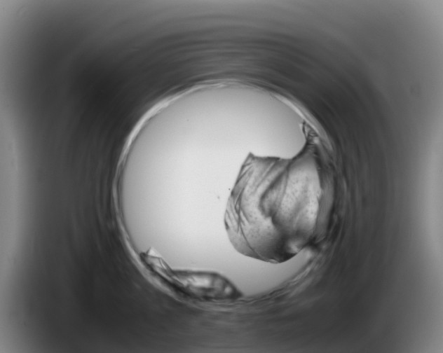 X0000086290813200704201922