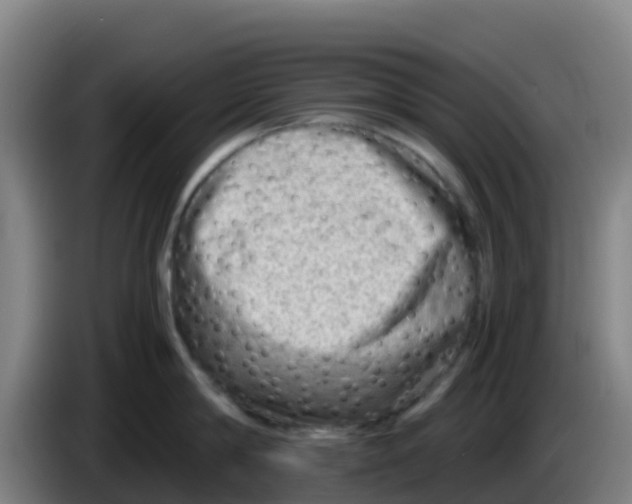 X0000086290814200704201922