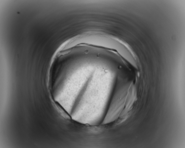 X0000086290815200704201922