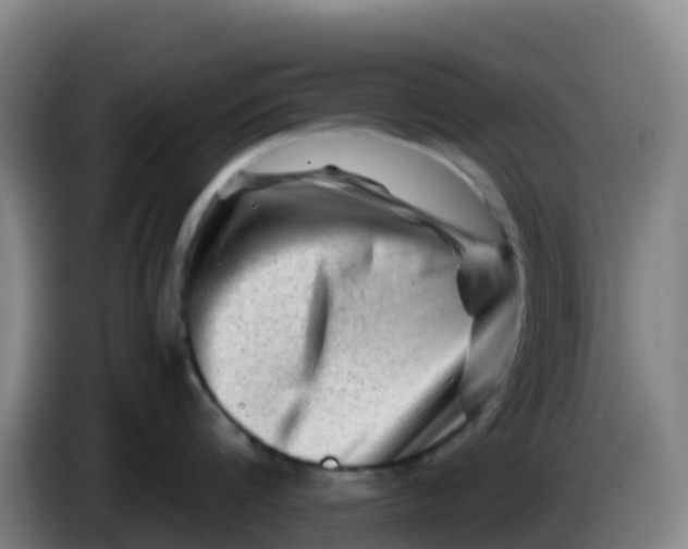 X0000086290816200704201922