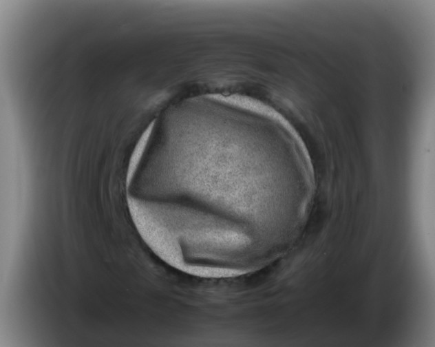 X0000086290817200704201921