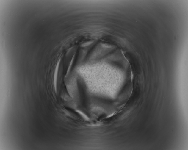 X0000086290818200704201921