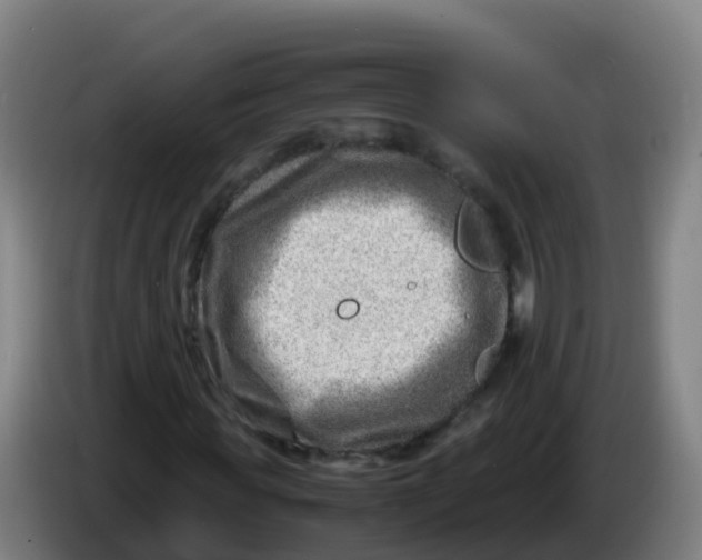 X0000086290819200704201921