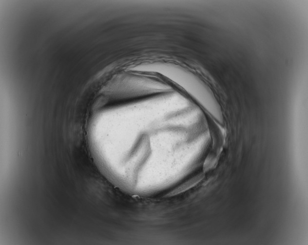 X0000086290821200704201921