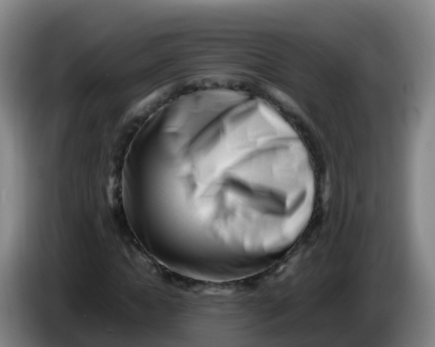 X0000086290822200704201921