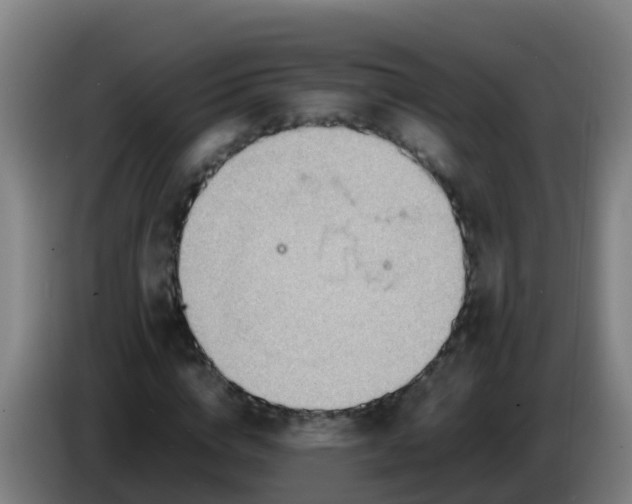 X0000086290824200704201921