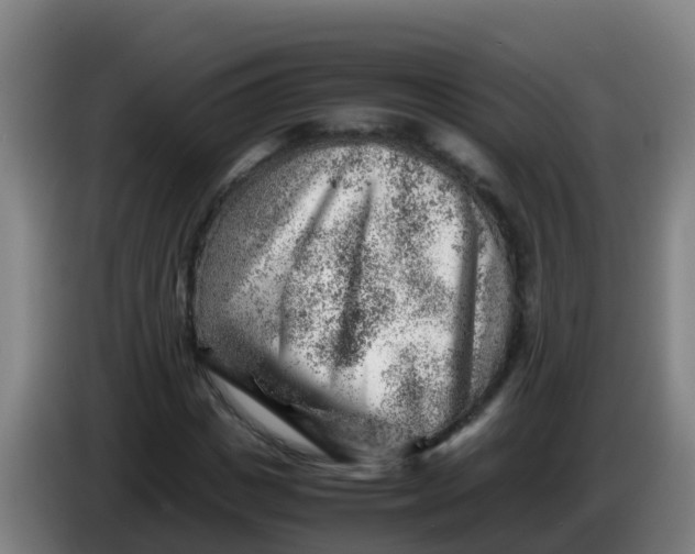 X0000086290825200704201921
