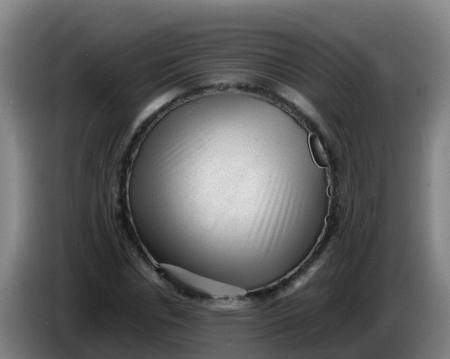 X0000086290826200704201921