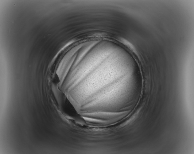 X0000086290827200704201921