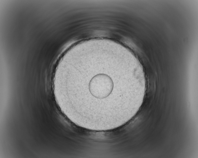X0000086290828200704201921