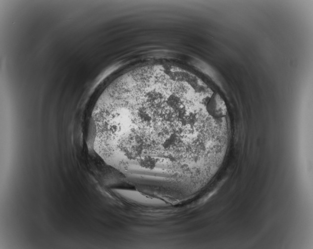 X0000086290829200704201921
