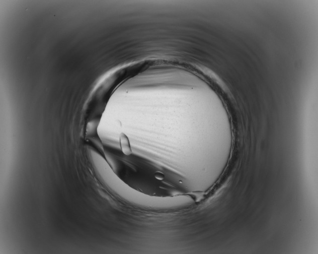 X0000086290830200704201921