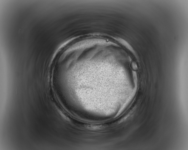 X0000086290831200704201921