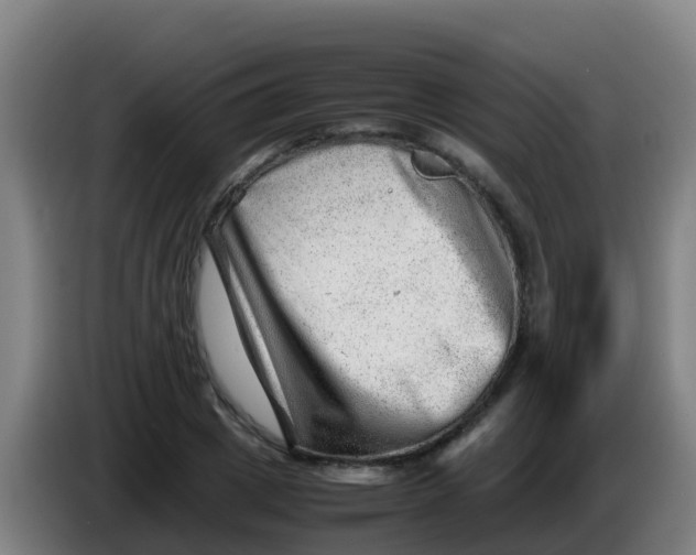 X0000086290833200704201921