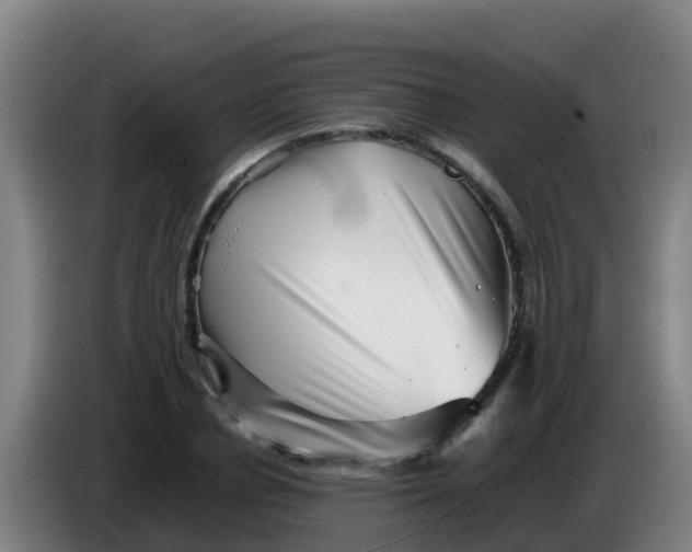 X0000086290834200704201921