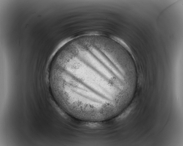 X0000086290835200704201921