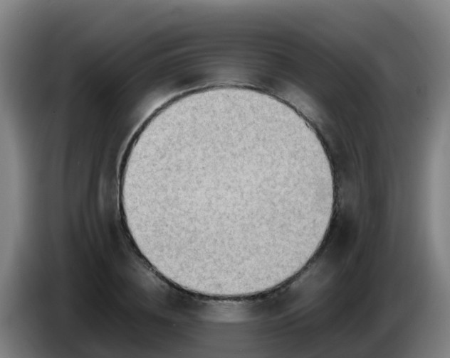 X0000086290836200704201921