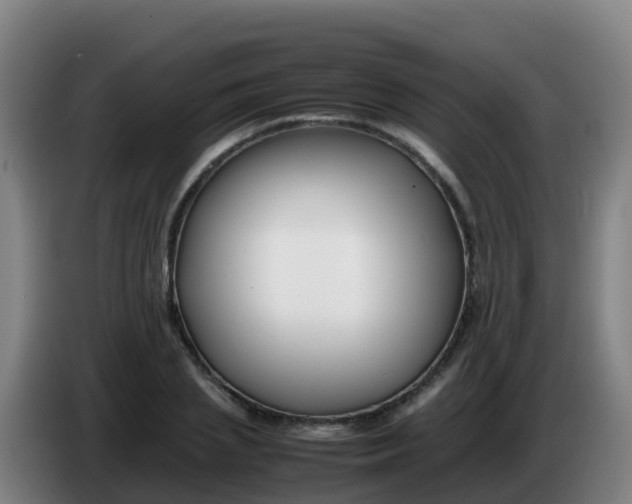 X0000086290837200704201921