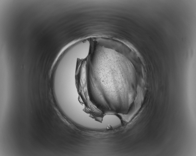 X0000086290838200704201921