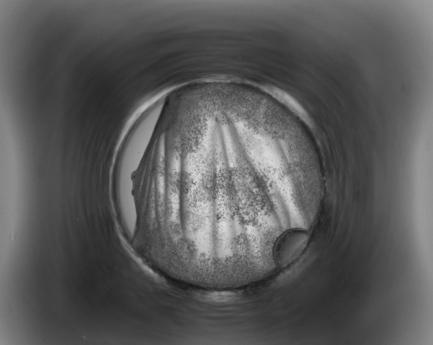 X0000086290839200704201921