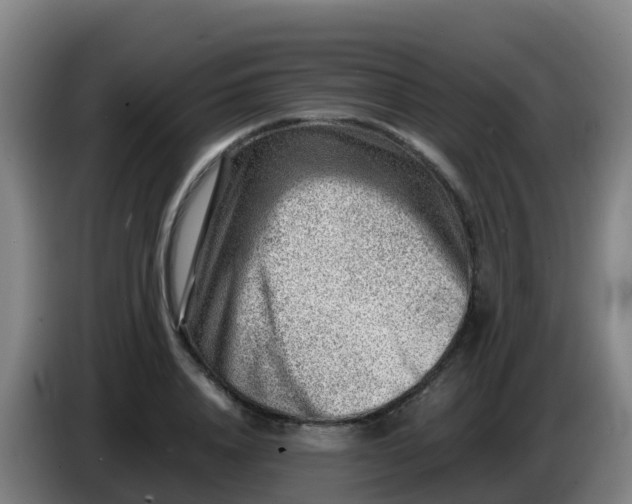 X0000086290840200704201921