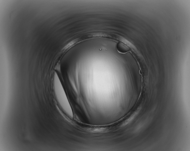 X0000086290841200704201921