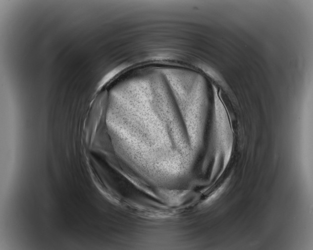 X0000086290842200704201921