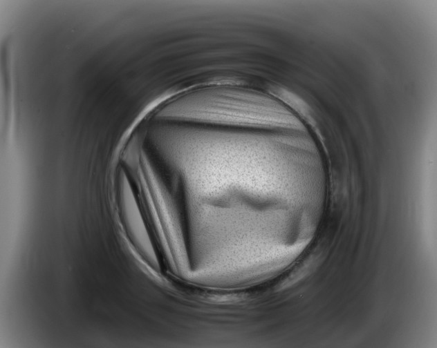X0000086290843200704201921