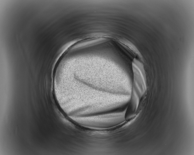 X0000086290844200704201921