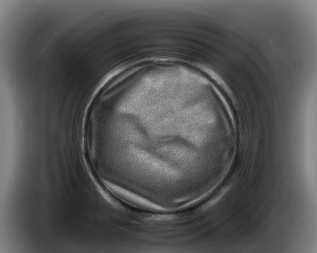 X0000086290845200704201921