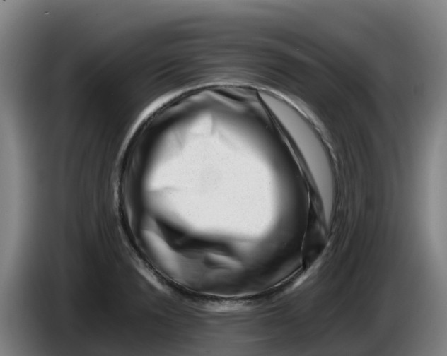 X0000086290846200704201921