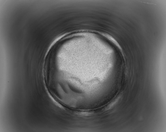 X0000086290847200704201921