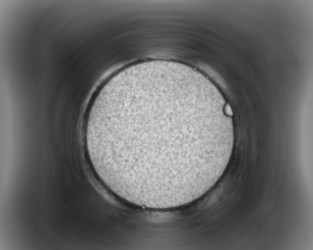 X0000086290848200704201921