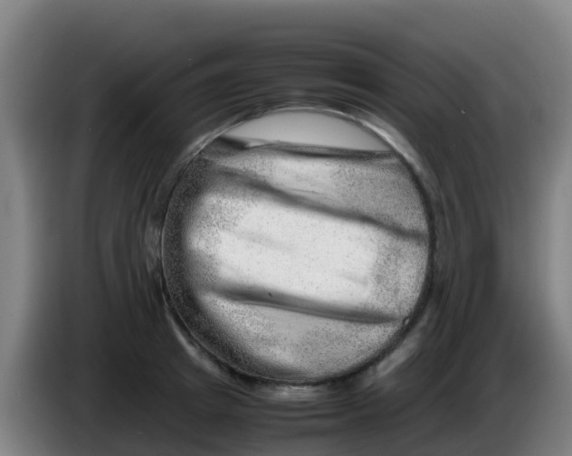X0000086290849200704201921