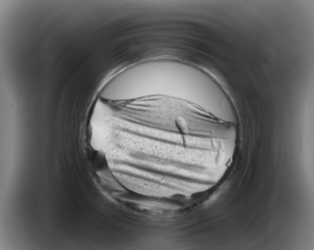 X0000086290850200704201921