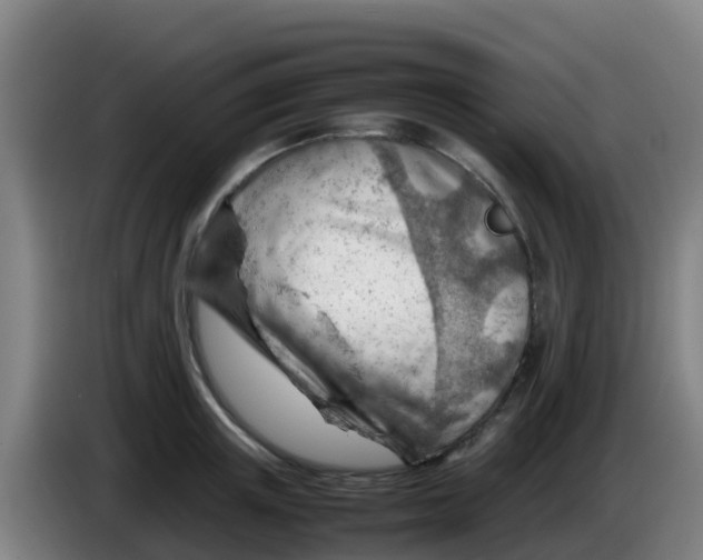 X0000086290851200704201921
