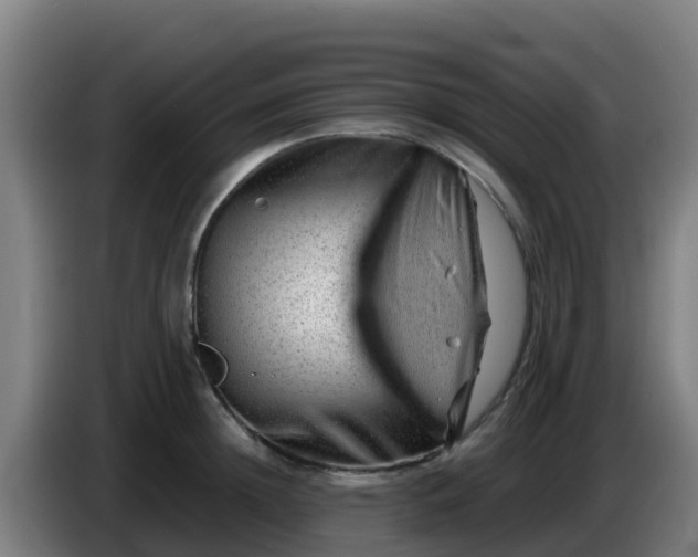 X0000086290852200704201921