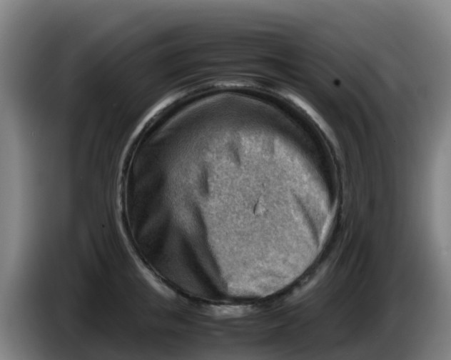 X0000086290853200704201921