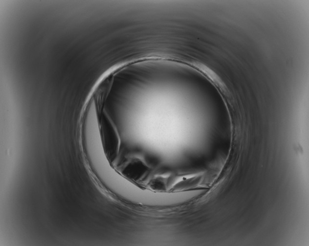 X0000086290854200704201921