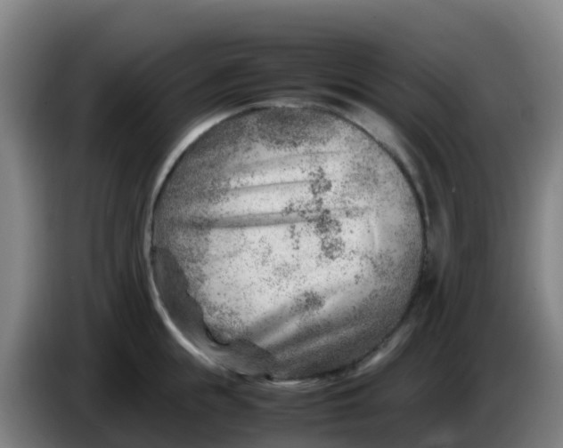 X0000086290855200704201921
